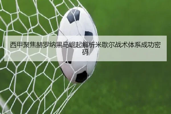 xi-jia-ju-jiao-he-luo-na-hei-ma-jue-qi-jie-xi-mi-xie-er-zhan-shu-ti-xi-cheng-gong-mi-ma-3-487.jpg