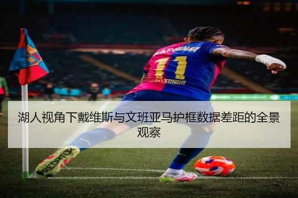 湖人视角下戴维斯与文班亚马护框数据差距的全景观察